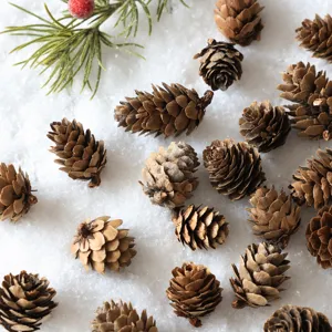 Natural pine cones for Christmas tree decoration, scattered on snowy background, flat lay main.