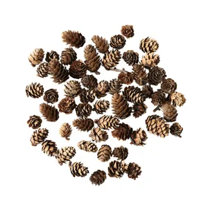Natural pine cones batch for Christmas tree decor, rustic DIY craft floral supplies bulk.