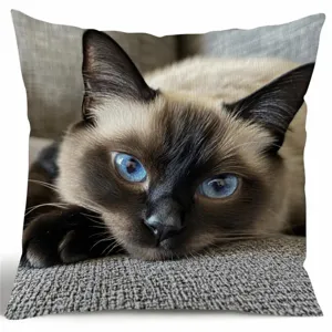 Süßer Kissenbezug mit siamesischer Katze, weicher Dekokissenbezug für Sofa und Bett.