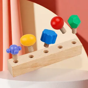Wooden Montessori Screw Puzzle Toy Shape Matching Early Educational Learning Fine Motor Skills Toy for Toddlers Kids Gift