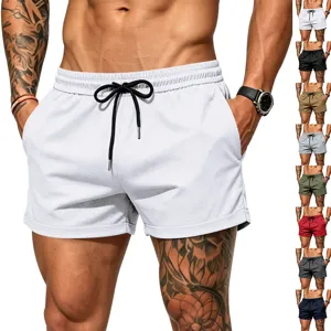 Men's Casual Sports Quick Drying Mesh Shorts Summer Beach Vacation Loose Breathable Athletic Running Shorts