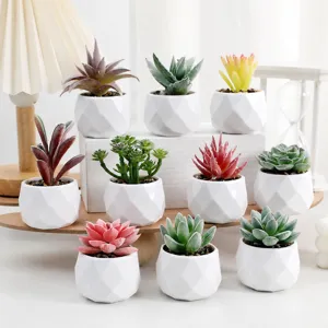 Artificial Succulent Potted Plant Plastic Fake Succulent Bonsai Diamond Pot Office Desktop Home Decor Creative Ornament