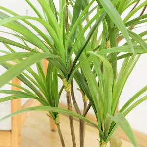 Dettaglio pianta artificiale viaggiatore foglia verde vaso interno palma finta pianta