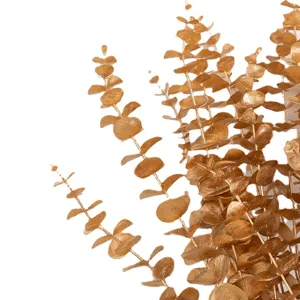 Golden artificial eucalyptus branches for Spring Festival home decor and flower arrangement.