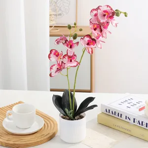 Plante d'orchidée artificielle en pot pour décoration intérieure, style nordique fausse fleur blanche.