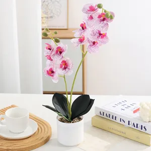 Fausse orchidée phalaenopsis en pot pour décoration d'intérieur style nordique fleur artificielle