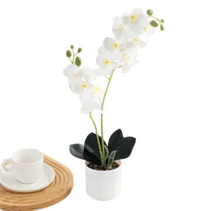 Fausse Orchidée Phalaenopsis en Pot Style Nordique Décoration d'Intérieur Fleur Artificielle