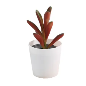 Artificial succulent plant in white pot fake potted plant for home room office decor