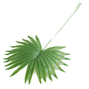 Artificial palm leaf green plant branch for home indoor decoration and interior styling.