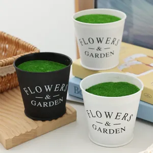 Decorative mini potted plants with green simulated moss and flowers garden text print.