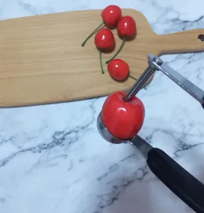 Vue détaillée d'un denoyauteur de cerises en acier inoxydable pour retirer facilement les noyaux.
