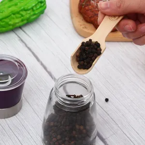 Moulin à poivre noir en verre manuel épice broyeur avec tête en inox et cuillère en bois.