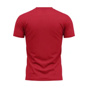 Men's red quick-dry sports t-shirt, breathable mesh short sleeve fitness training top.