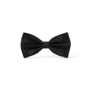 Schwarze Fliege Detailansicht, klassisches Satin Herren-Halsaccessoire für Anzüge Hochzeit.