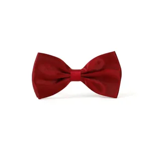Weinroter klassischer Fliegen-Detail für Herren, elegante Hochzeitsanzug-Accessoire, Satin.