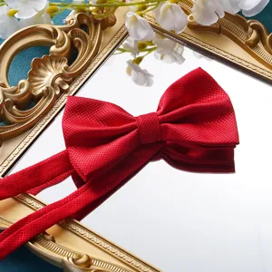 Nahaufnahme Detail einer klassischen roten Herren Fliege mit elegantem strukturiertem Stoff.