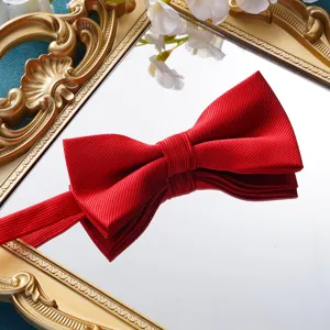 Rote Herren Fliege Detailaufnahme, klassischer gestreifter Stoff für Hochzeitsanzug Bräutigam.