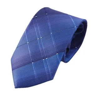 Classic blue plaid men's necktie for business and formal wear, stylish woven design.