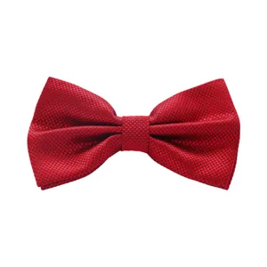 Elegante rote Herren Fliege mit feiner Gitterstruktur, ideal für Hochzeit, Bräutigam und Anzug.