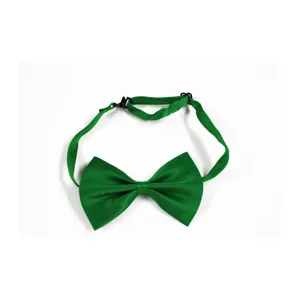 Détail nœud papillon vert, sangle réglable avec boucle noire, accessoire en tissu uni.