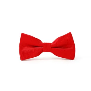 Klassische rote Fliege für Herren, elegante Detailansicht für Hochzeiten und Anzüge.