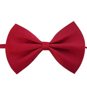 Farfallino rosso vino per bambini tinta unita uniforme fiocco moda casual studente
