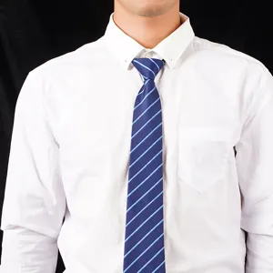 Herren Business formelle blaue gestreifte Krawatte mit Reißverschluss für Büro Hochzeit.