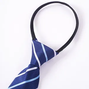 Vista dettagliata della cravatta con cerniera da uomo con motivo a righe blu eleganti.