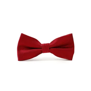 Nahaufnahme der weinroten Twill-Fliege im Detail, elegantes Accessoire für formelle Anzüge.