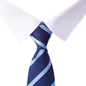 Blue striped necktie for men business formal wear wedding professional office suit tie.