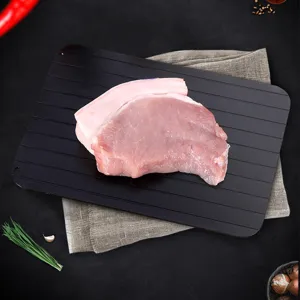 Piastra di sbrinamento rapido in alluminio quadrato per carne bistecca cucina utensile