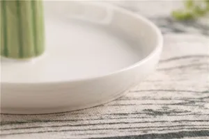 Detailopname van een wit keramisch sieradenbakje met groene cactus ringhouder decoratie.