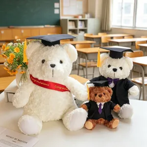 Afstuderen Teddybeer Pluche Speelgoed Set met Doctoraat Hoed en Academische Jurk Pop