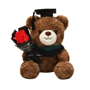 Adorable Ours en Peluche de Graduation avec Rose Rouge, Cadeau Idéal pour Étudiants