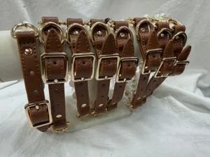 Luxe bruine lederen huisdieren halsband met gouden metalen gespen en kralen display