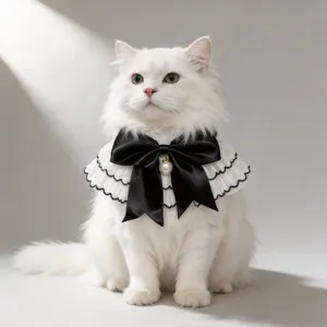 Elegantes Spitzen-Halsband für Haustiere mit schwarzer Schleife und Perle für Katzen Hunde.