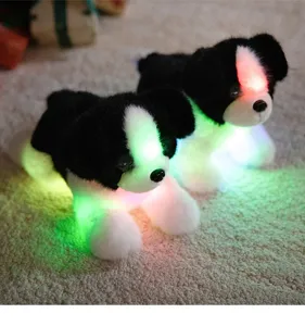 Cute glowing border collie plush toy, soft LED light-up puppy doll for kids gift.