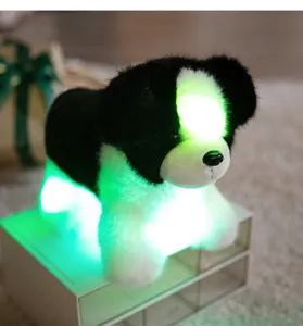 Close-up detail of the cute glowing border collie plush toy with bright green LED lights inside.