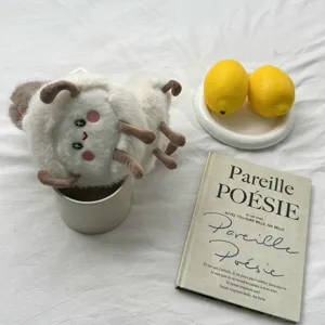 Fluffy winter plush earmuffs for women and students, cute warm folding ear cover accessory.