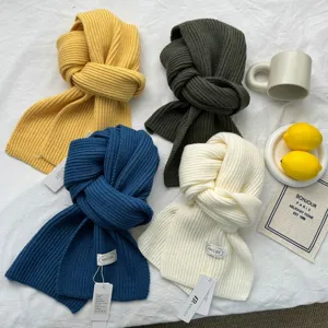 Mise à plat de quatre écharpes d'hiver douillettes aux couleurs vives avec étiquettes et décors.