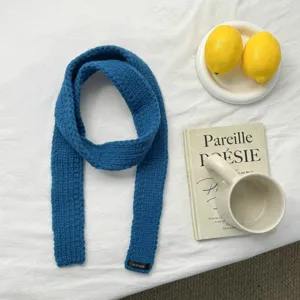 Blue knitted narrow scarf detail shot, cozy autumn winter fashion accessory flat lay scene.