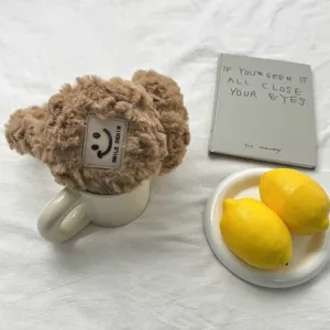 Chauffe-oreilles peluche marron hiver pour femmes, cache-oreilles coupe-vent pour usage quotidien.
