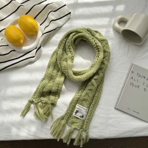Grüner Strickschal Detail mit schickem Zopfmuster, weicher Textur und hübschen Fransen für den Winter.