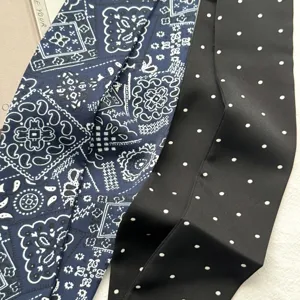 Chique smalle zijden sjaal met klassieke paisley en stipjes print voor stijlvolle vrouwen