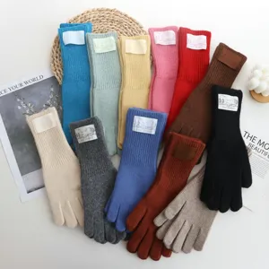 Vue detaillee de longs gants en laine tricotes sans doigts aux couleurs variees.