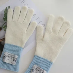 Colorblock knit gloves for women, cozy winter thermal gloves with stylish patch detail.