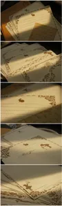 Ensemble de papier à lettres vintage avec bordures florales marron et silhouettes de lapin.