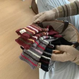 Nahaufnahme von kuscheligen, gestreiften Strick-Armstulpen und Handschuhen im Korb.