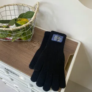 Winter cute knitted five-finger gloves for women thick warm wool mittens details view