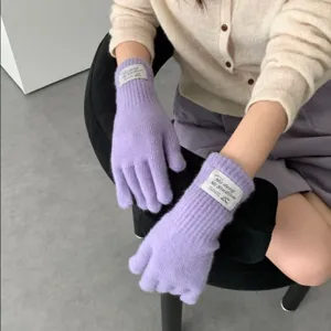 Purple knitted five-finger gloves for women winter warm cute student gloves main view